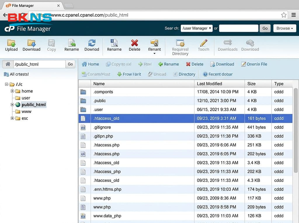 Quản trị viên truy cập File Manager trên hosting để sửa lỗi cấu hình file .htaccess gây ra Internal Server Error.