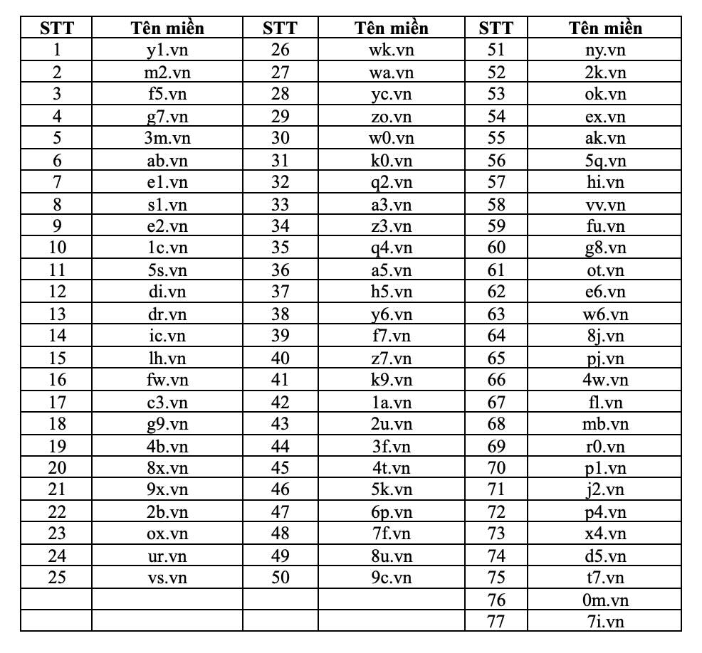 Danh sách một số tên miền .VN đẹp sẽ được đưa ra đấu giá đợt 2