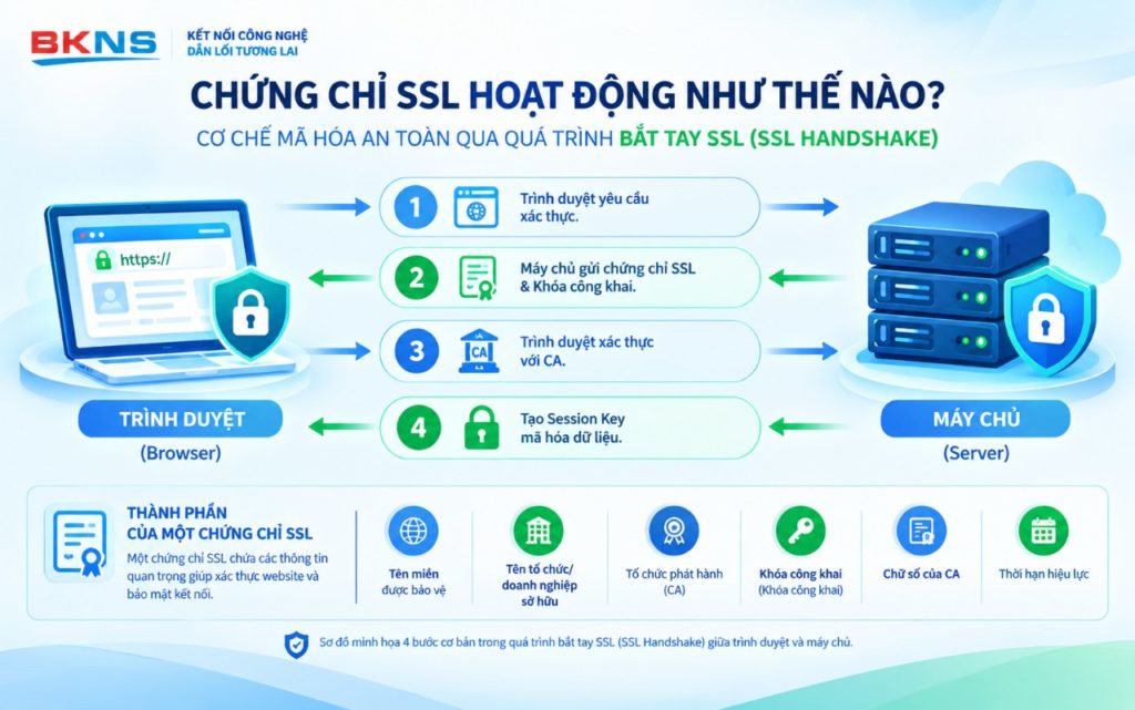 Chứng chỉ SSL hoạt động như thế nào